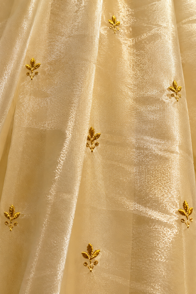 Yellow Organza Long Skirt & Crop Top Set with Appliqué and Embroidery Work
