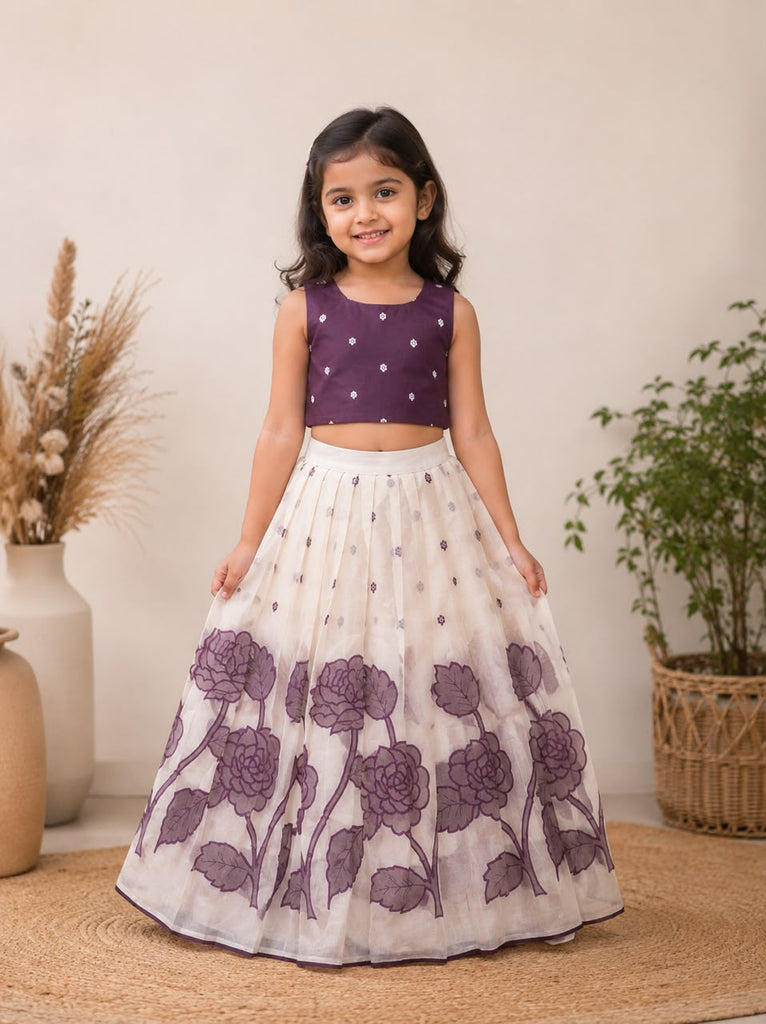 Crop Top & Organza Skirt Set